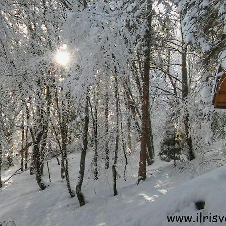 Casa Nella Natura Il Risveglio Degli Elfi Pedavena Exterior photo