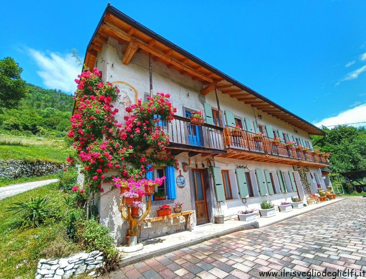 Casa Nella Natura Il Risveglio Degli Elfi Pedavena Exterior photo